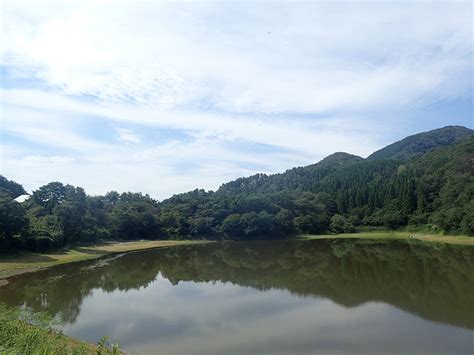 馬 年 池塘邊